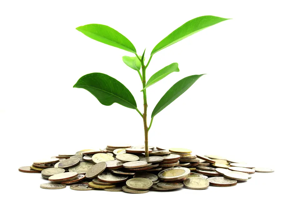 Инвестиции SKF в сохранение экологии | Свежие новости в Липецке